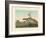 Ostrich Hunting-null-Framed Giclee Print