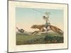 Ostrich Hunting-null-Mounted Giclee Print