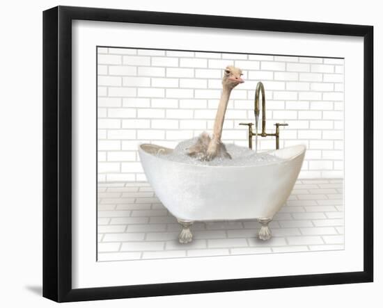 Ostrich In Bathtub-Matthew Piotrowicz-Framed Art Print