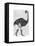 Ostrich in Boots-Fab Funky-Framed Stretched Canvas