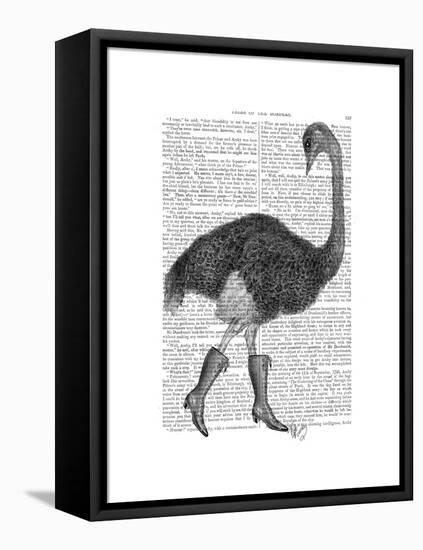 Ostrich in Boots-Fab Funky-Framed Stretched Canvas