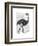 Ostrich in Boots-Fab Funky-Framed Art Print