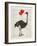 Ostrich In Love-Christopher James-Framed Art Print