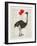 Ostrich In Love-Christopher James-Framed Art Print