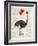 Ostrich In Love-Christopher James-Framed Art Print