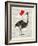 Ostrich In Love-Christopher James-Framed Art Print