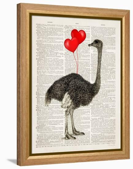 Ostrich In Love-Christopher James-Framed Stretched Canvas