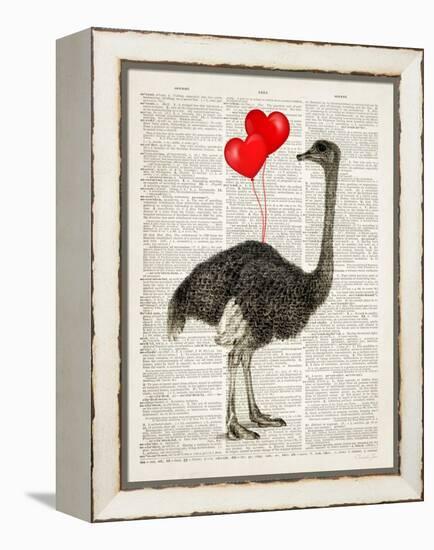 Ostrich In Love-Christopher James-Framed Stretched Canvas