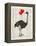 Ostrich In Love-Christopher James-Framed Stretched Canvas