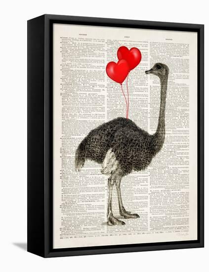 Ostrich In Love-Christopher James-Framed Stretched Canvas
