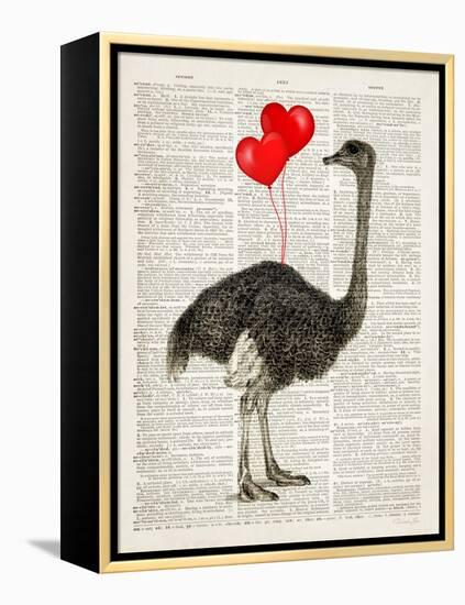 Ostrich In Love-Christopher James-Framed Stretched Canvas