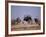 Ostrich Male and Female Courtship Behaviour (Struthio Camelus) Etosha National Park, Namibia-Tony Heald-Framed Photographic Print