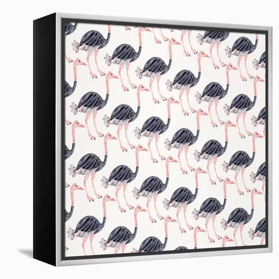 Ostrich Pattern-Cat Coquillette-Framed Stretched Canvas