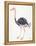 Ostrich-Cat Coquillette-Framed Premier Image Canvas