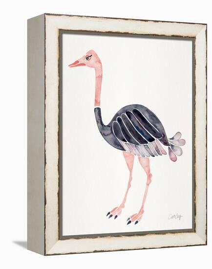Ostrich-Cat Coquillette-Framed Premier Image Canvas