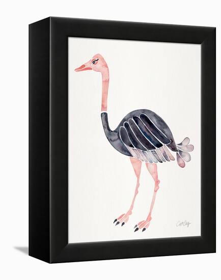 Ostrich-Cat Coquillette-Framed Premier Image Canvas