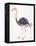 Ostrich-Cat Coquillette-Framed Premier Image Canvas