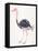 Ostrich-Cat Coquillette-Framed Premier Image Canvas