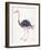 Ostrich-Cat Coquillette-Framed Giclee Print