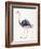 Ostrich-Cat Coquillette-Framed Giclee Print