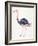 Ostrich-Cat Coquillette-Framed Giclee Print