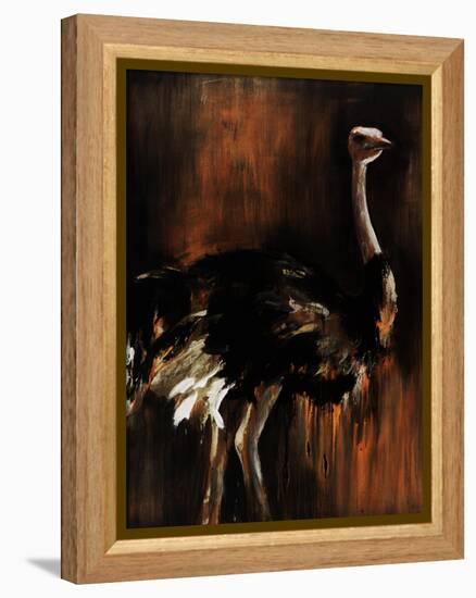 Ostrich-Sydney Edmunds-Framed Premier Image Canvas