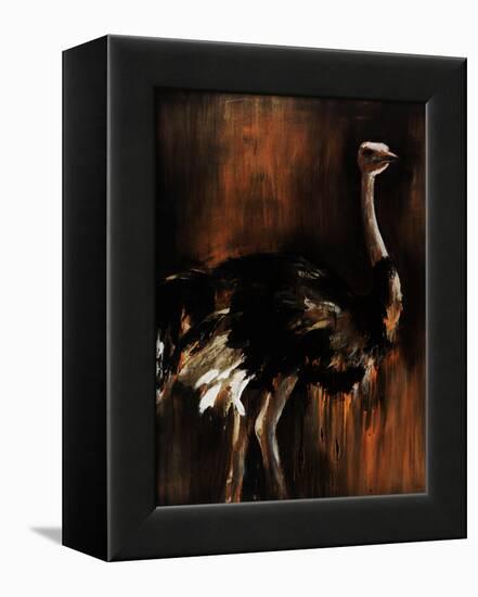 Ostrich-Sydney Edmunds-Framed Premier Image Canvas