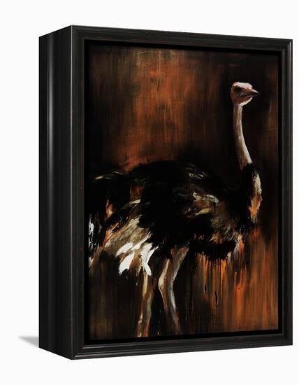Ostrich-Sydney Edmunds-Framed Premier Image Canvas