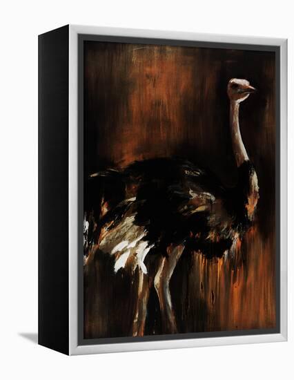 Ostrich-Sydney Edmunds-Framed Premier Image Canvas