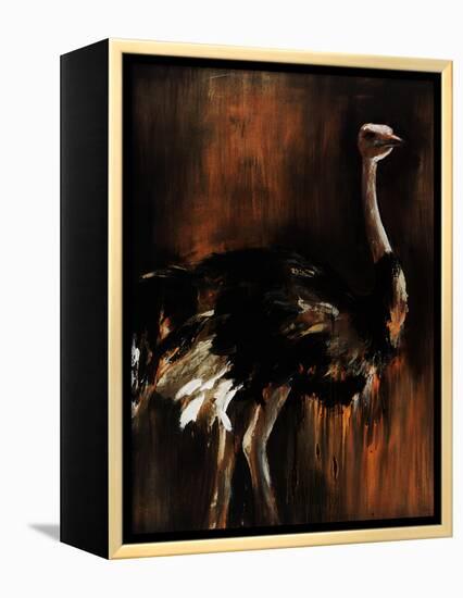 Ostrich-Sydney Edmunds-Framed Premier Image Canvas