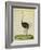 Ostrich-Georges-Louis Buffon-Framed Giclee Print