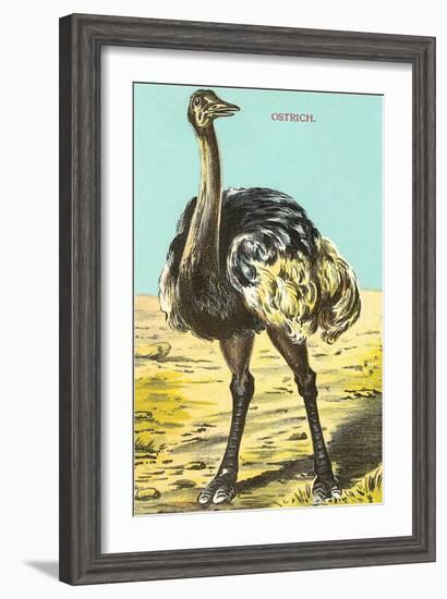 Ostrich-null-Framed Art Print