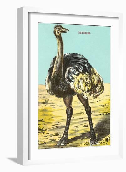 Ostrich-null-Framed Art Print