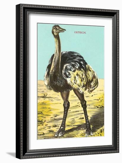 Ostrich-null-Framed Art Print