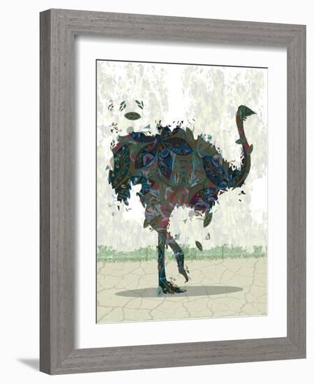 Ostrich-Teofilo Olivieri-Framed Giclee Print