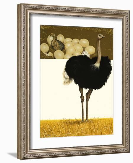 Ostrich-David Nockels-Framed Giclee Print