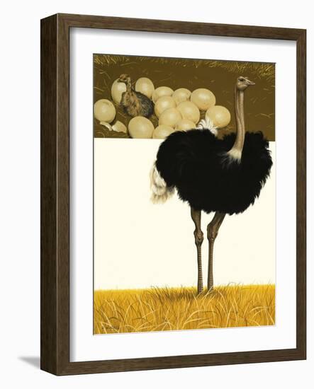 Ostrich-David Nockels-Framed Giclee Print