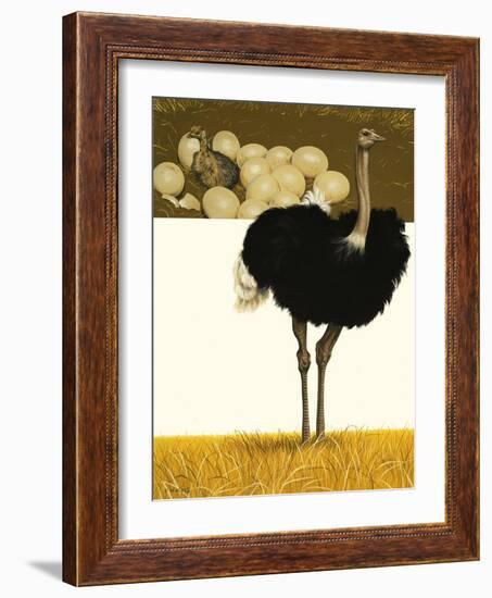 Ostrich-David Nockels-Framed Giclee Print