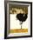 Ostrich-David Nockels-Framed Giclee Print