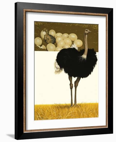 Ostrich-David Nockels-Framed Giclee Print