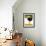 Ostrich-David Nockels-Framed Giclee Print displayed on a wall