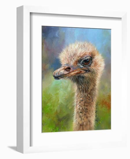Ostrich-David Stribbling-Framed Art Print