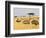 Ostriches and Wildebeests-Hal Beral-Framed Photographic Print