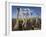 Ostriches, Struthio Camelus, on Ostrich Farm, Western Cape, South Africa, Africa-Steve & Ann Toon-Framed Photographic Print