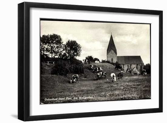 Ostseebad Insel Poel, Partie Am Wallgraben, Weidende Kühe, Kirche-null-Framed Giclee Print