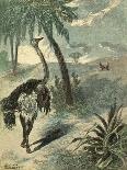 Hunting Ostrich-Oswald Levens-Art Print