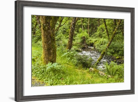 Oswald West State Park, Oregon. a Sylvan View of Short Sand Creek-Michael Qualls-Framed Photographic Print