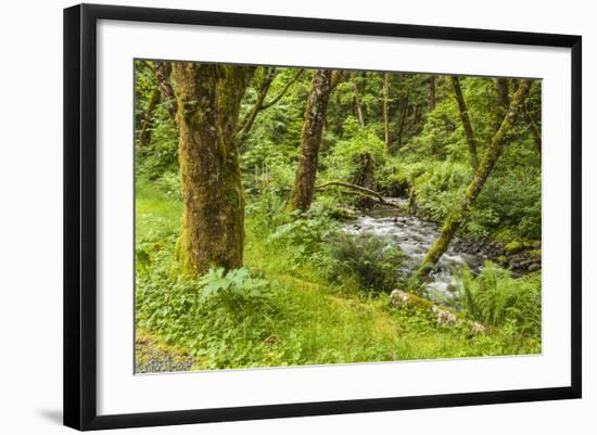 Oswald West State Park, Oregon. a Sylvan View of Short Sand Creek-Michael Qualls-Framed Photographic Print
