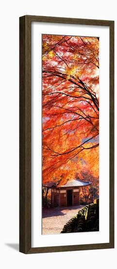 (Otagi Nenbutsuji Temple Ukyo-Ku) Kyoto Japan-null-Framed Photographic Print