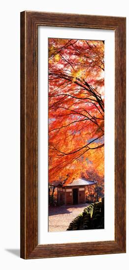 (Otagi Nenbutsuji Temple Ukyo-Ku) Kyoto Japan-null-Framed Photographic Print